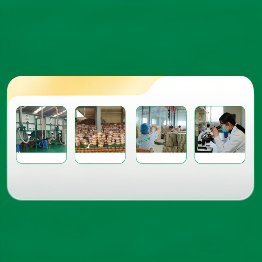 Bastoncino di Moxa Carbonizzat - Therapy Health And Wellness recensione e prezzo